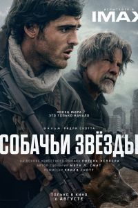 Собачьи звёзды